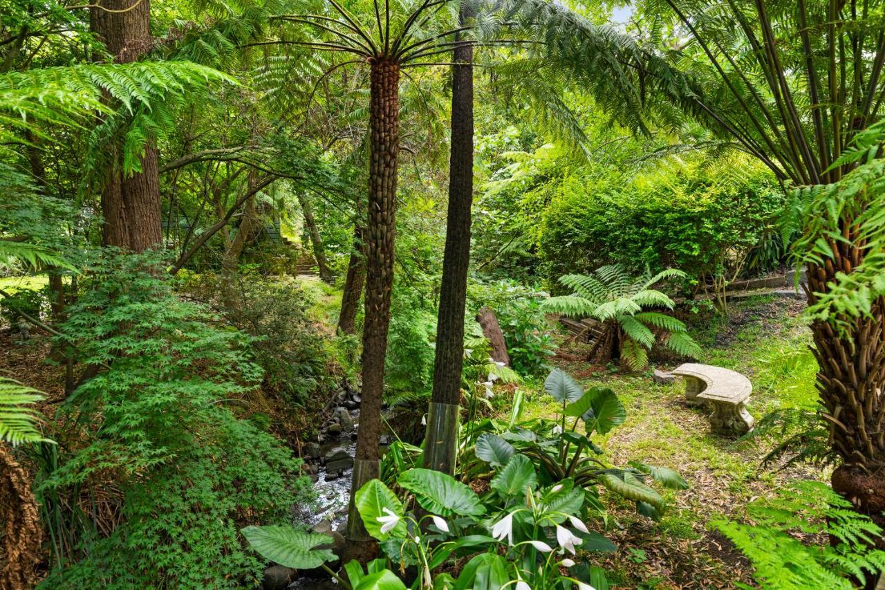 Paddys Creek Retreat Villa Upwey Dış mekan fotoğraf