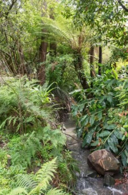 Paddys Creek Retreat Villa Upwey Dış mekan fotoğraf